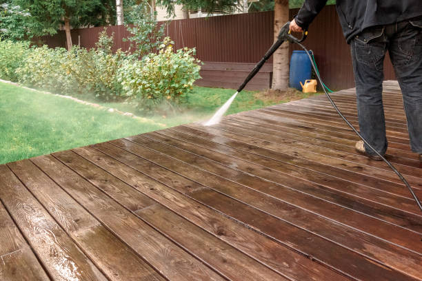 Best Sidewalk and Walkway Cleaning  in Wardsville, MO