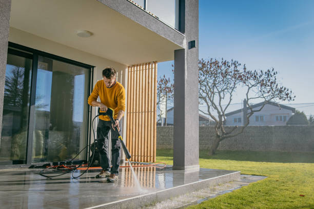Best Pre-Holiday Cleaning  in Wardsville, MO